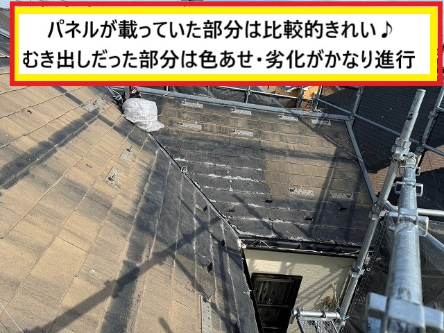 パネル無し