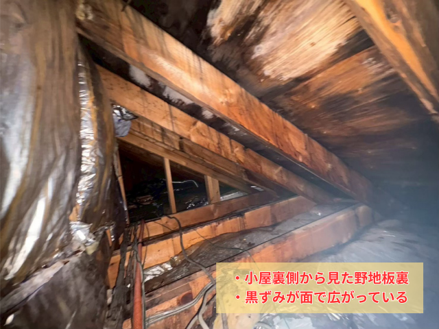 小屋裏　結露　雨漏り