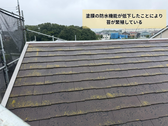 屋根　苔　屋根カバー工事