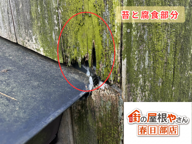 外壁　部分張替え工事