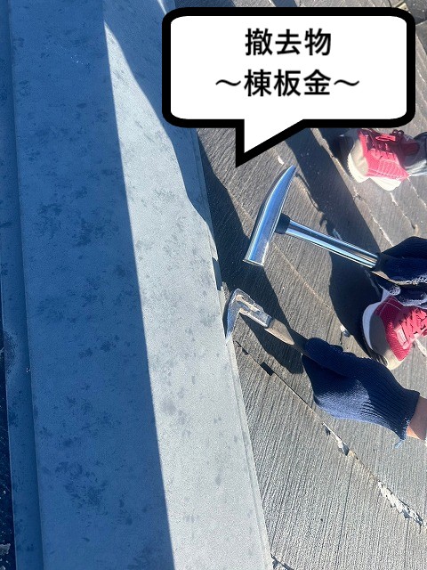 棟