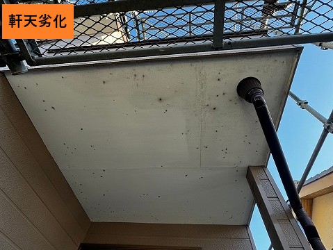 軒天の劣化