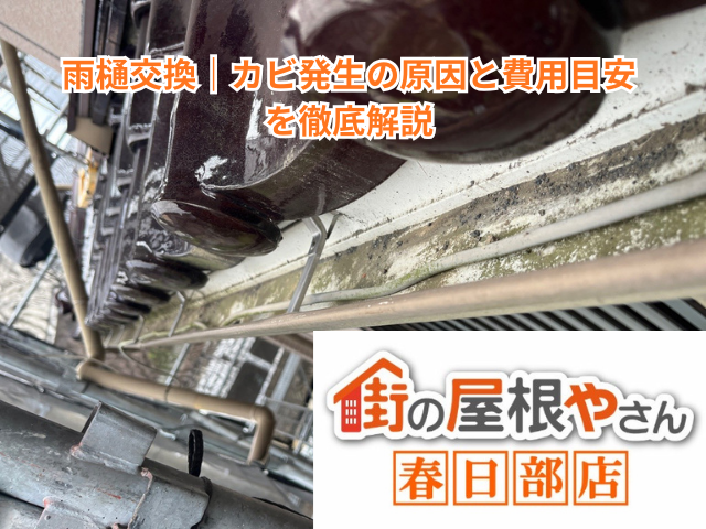 春日部市の雨樋交換｜カビ発生の原因と費用目安を徹底解説