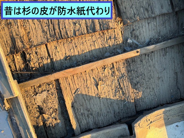 杉の皮
