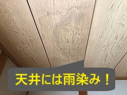 雨染み
