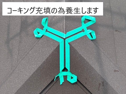 養生