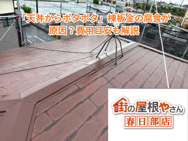 羽生市で「天井からポタポタ」棟板金の腐食が原因？費用目安も解説