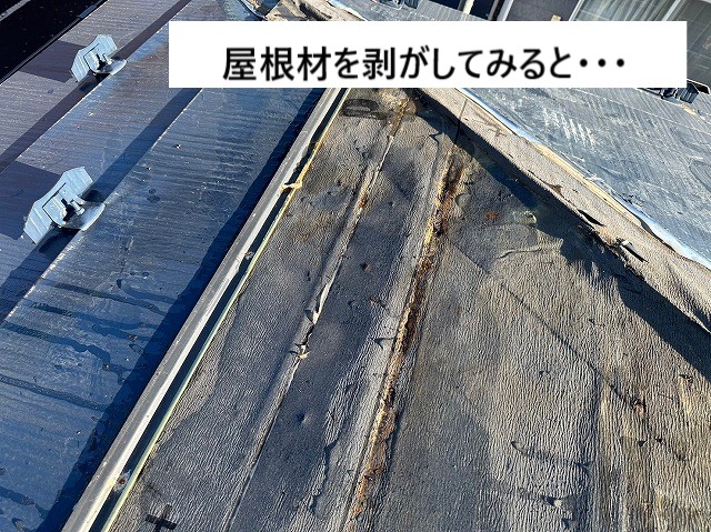 雨染み